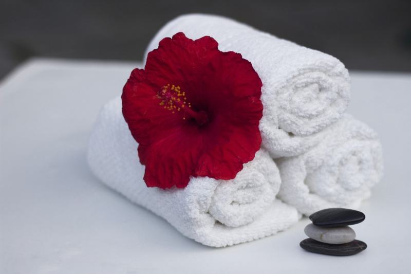 hotel-LA FARLEDE-min_towel_hibiscus_clean_care_salon_spa_white_bath-869834